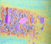 Molycop’s OreVia featured in International Mining