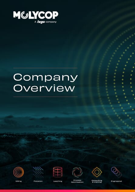 Company Overview | Molycop
