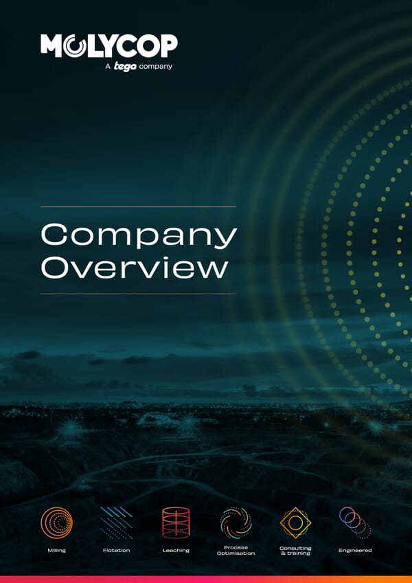 Company Overview