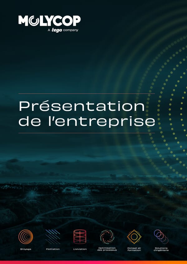 Présentation de l'entreprise