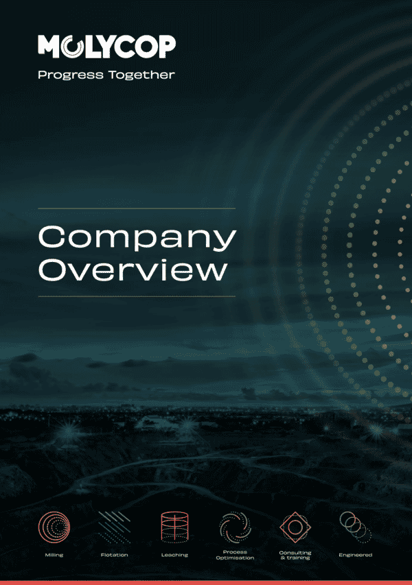 Company Overview