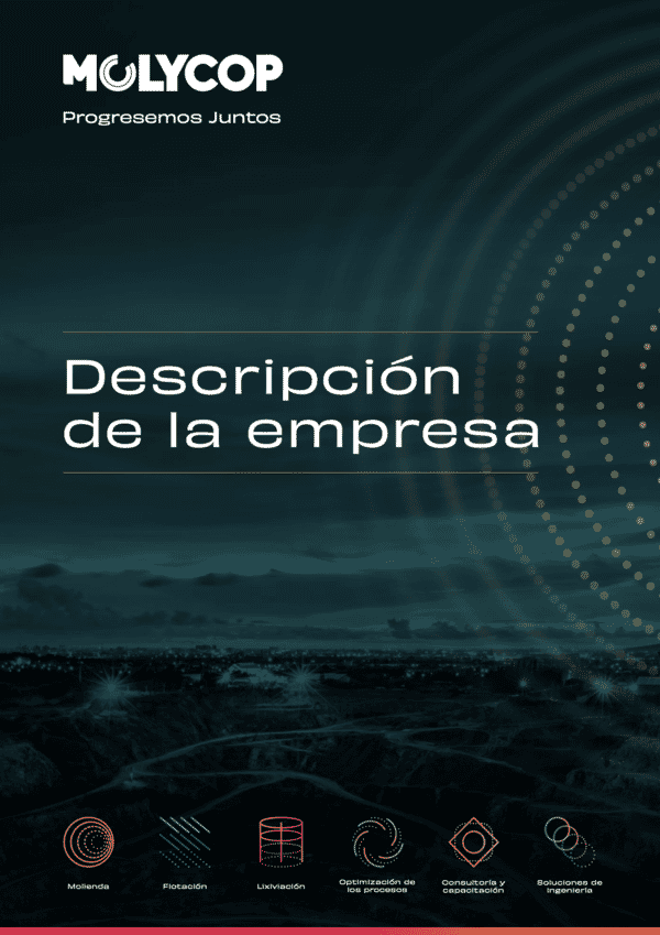 Descripción de la empresa