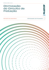 Otimização do Circuito de Flotação