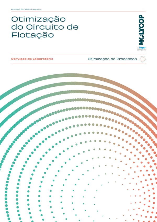 Otimização do Circuito de Flotação