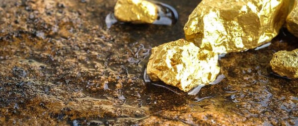 Cinética de lixiviación del oro